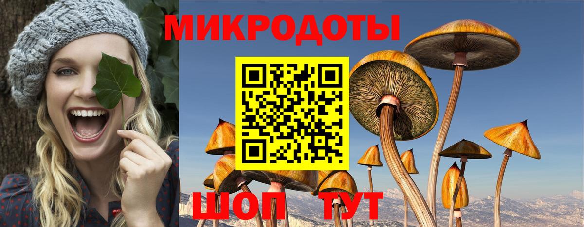 Галлюциногенные грибы GOLDEN TEACHER  Вход с VPN  Галлюциногенные грибы Magic Shrooms  хочу   Нижний Тагил 